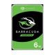 SEAGATE SEAGATE HDD INTERNO BARRACUDA 6TB 3,5 SATA 6GBS 7200RPM 256MB CACHE - HARD DISK INTERNI | TecnoCARE.net Sabaudia, Latina, Terracina, San Felice Circeo e Pontinia