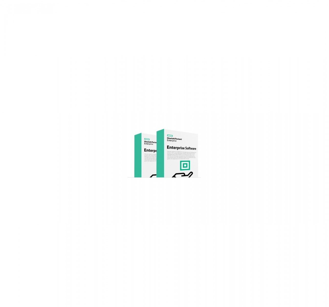 HPE HPE MSL3040 KMIP Key Manager LTU - SOFTWARE | TecnoCARE.net Sabaudia, Latina, Terracina, San Felice Circeo e Pontinia