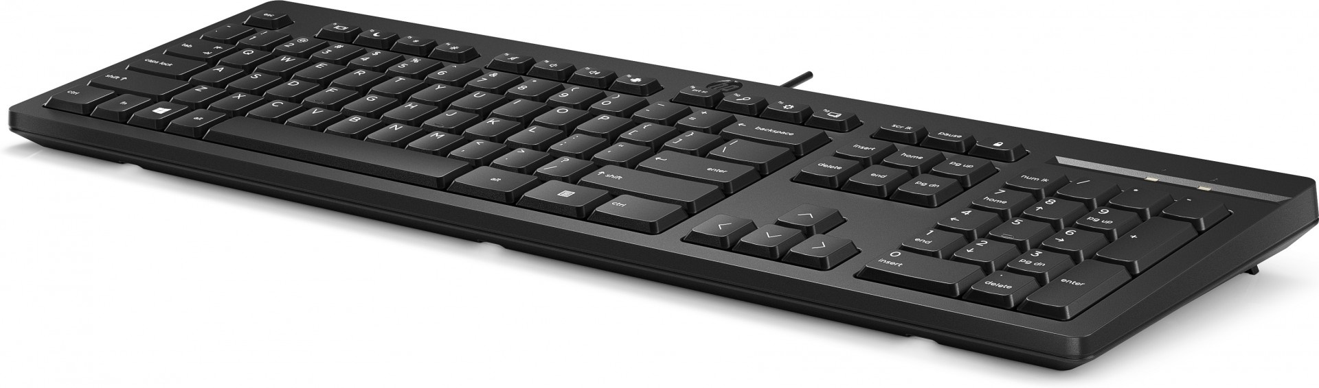 HP Tastiera cablata HP 125 - ricevitore USB - nera, BULK 12 pz. (266C9A6#ABB) - TASTIERE E CONTROLLER | TecnoCARE.net Sabaudia, Latina, Terracina, San Felice Circeo e Pontinia