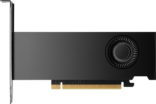 HP HP VGA QUADRO RTX 2000 ADA, 16GB GDDR6, PCIe 4.0x8, 4x mDP, LOW PROFILE - SCHEDE VIDEO | TecnoCARE.net Sabaudia, Latina, Terracina, San Felice Circeo e Pontinia
