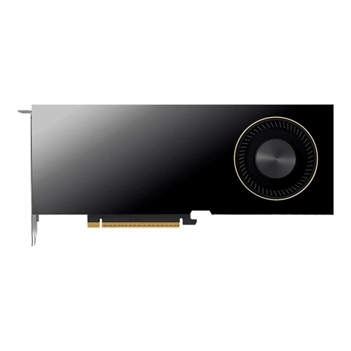 HP HP NVIDIA RTX PH x6xxx 4DP Graphics - COMPONENTI | TecnoCARE.net Sabaudia, Latina, Terracina, San Felice Circeo e Pontinia