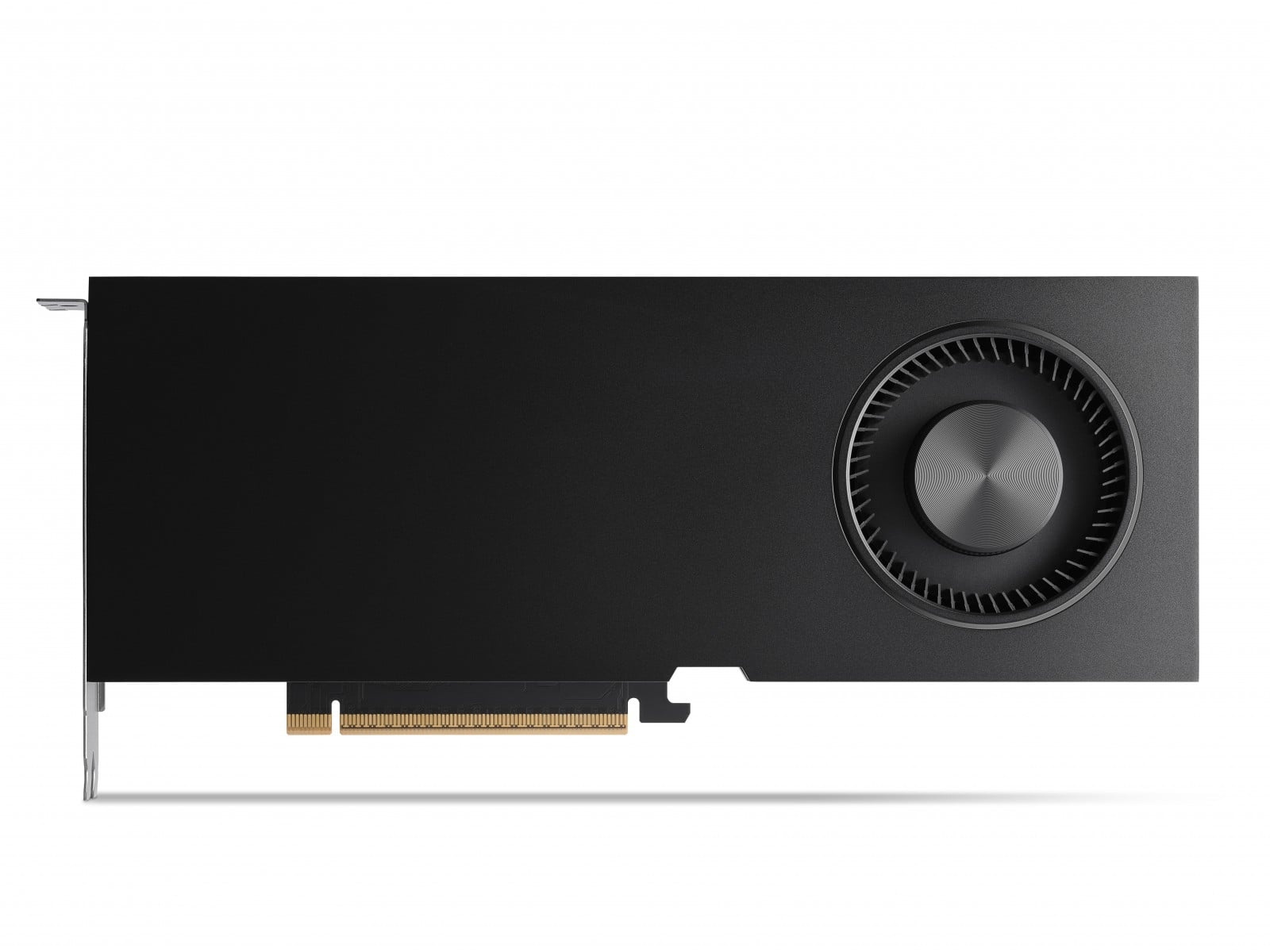 HP HP NVIDIA RTX PH x5xxx 4DP Graphics - COMPONENTI | TecnoCARE.net Sabaudia, Latina, Terracina, San Felice Circeo e Pontinia