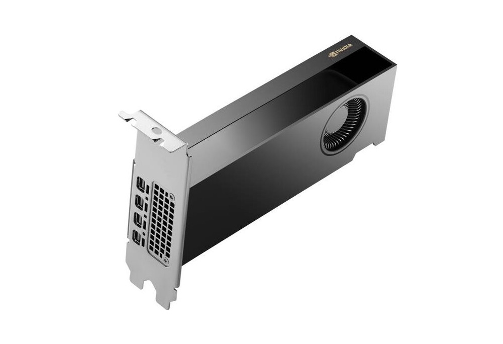 HP HP VGA QUADRO RTX PRO 2000 BLACKWELL, 16GB GDDR7, 4mDP, LOW PROFILE - SCHEDE VIDEO | TecnoCARE.net Sabaudia, Latina, Terracina, San Felice Circeo e Pontinia