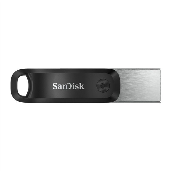 SANDISK SanDisk 00183589 unità flash USB 256 GB USB Type-A / Lightning 3.2 Gen 1 (3.1 Gen 1) Nero, Argento - SUPPORTI PER LA MEMORIZZAZIONE | TecnoCARE.net Sabaudia, Latina, Terracina, San Felice Circeo e Pontinia