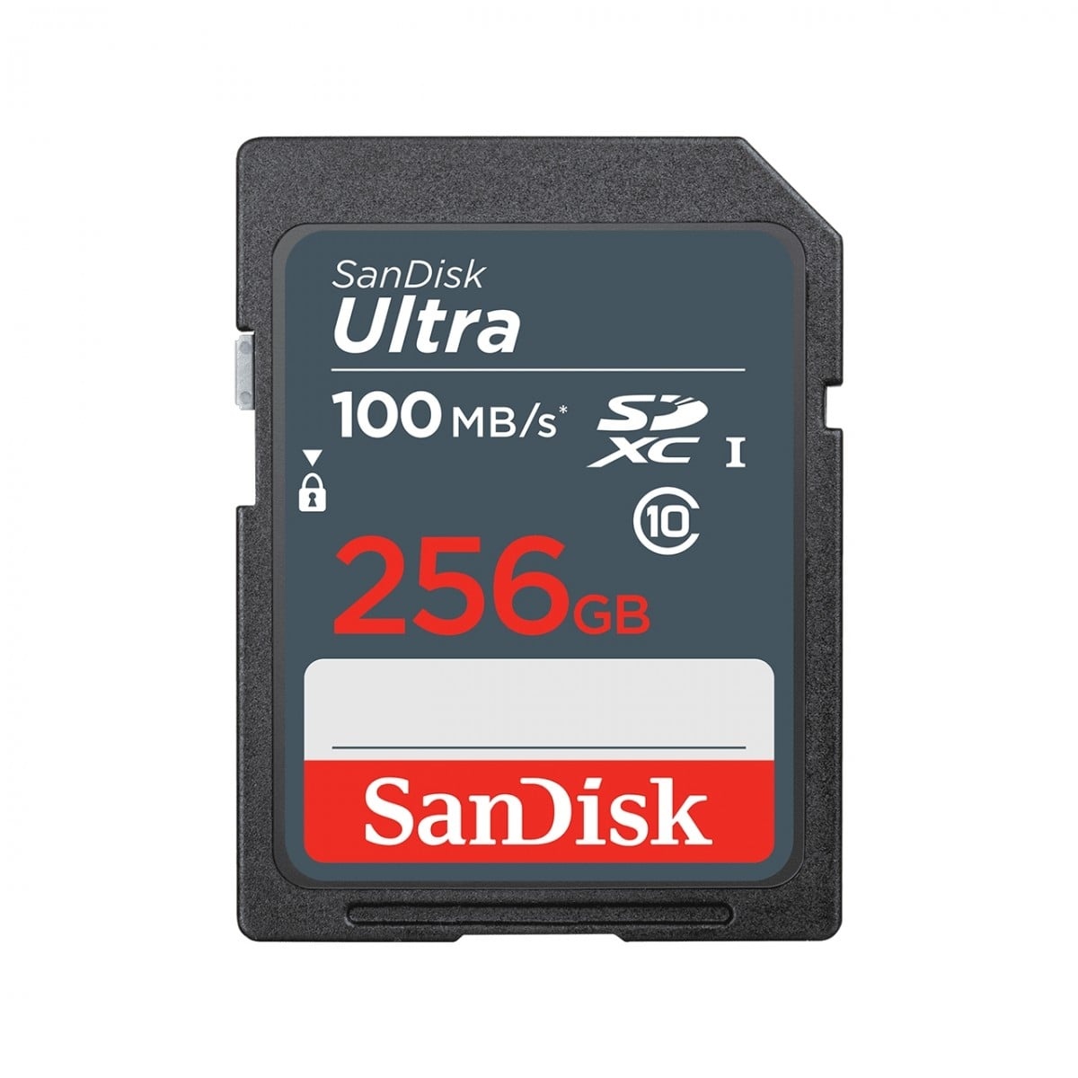 SANDISK SanDisk Ultra 256 GB SDXC UHS-I Classe 10 - SUPPORTI PER LA MEMORIZZAZIONE | TecnoCARE.net Sabaudia, Latina, Terracina, San Felice Circeo e Pontinia