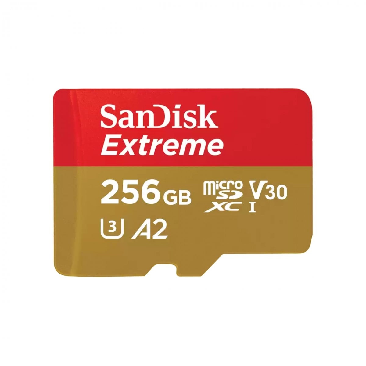 SANDISK SanDisk Extreme 256 GB MicroSDXC UHS-I Classe 10 - SUPPORTI PER LA MEMORIZZAZIONE | TecnoCARE.net Sabaudia, Latina, Terracina, San Felice Circeo e Pontinia
