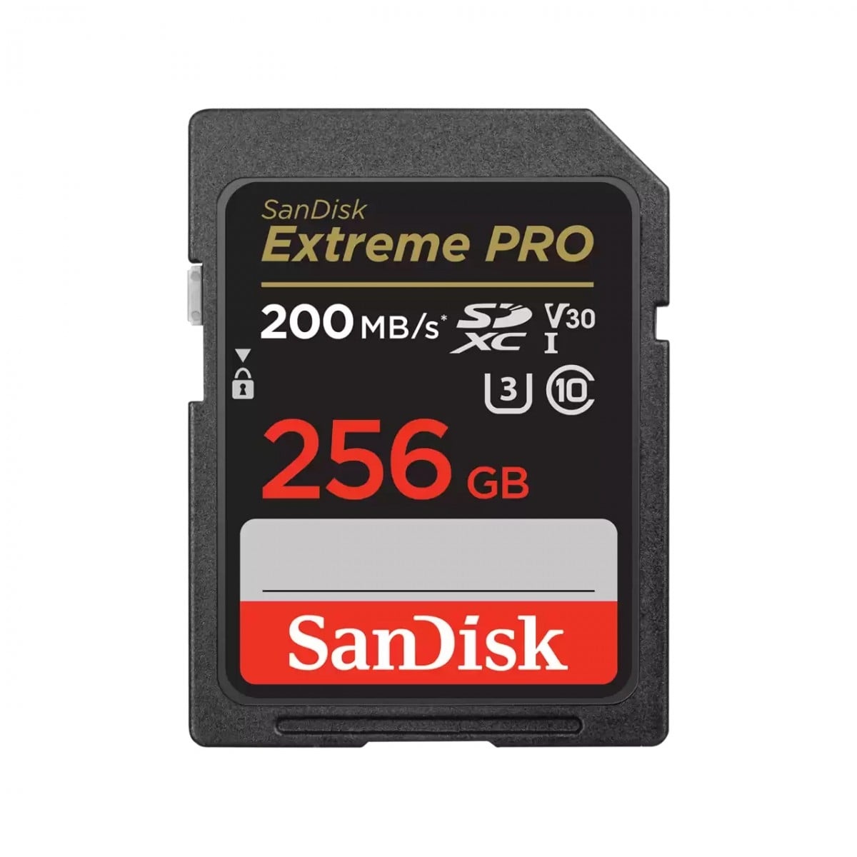 SANDISK SanDisk Extreme PRO 256 GB SDXC UHS-I Classe 10 - SUPPORTI PER LA MEMORIZZAZIONE | TecnoCARE.net Sabaudia, Latina, Terracina, San Felice Circeo e Pontinia