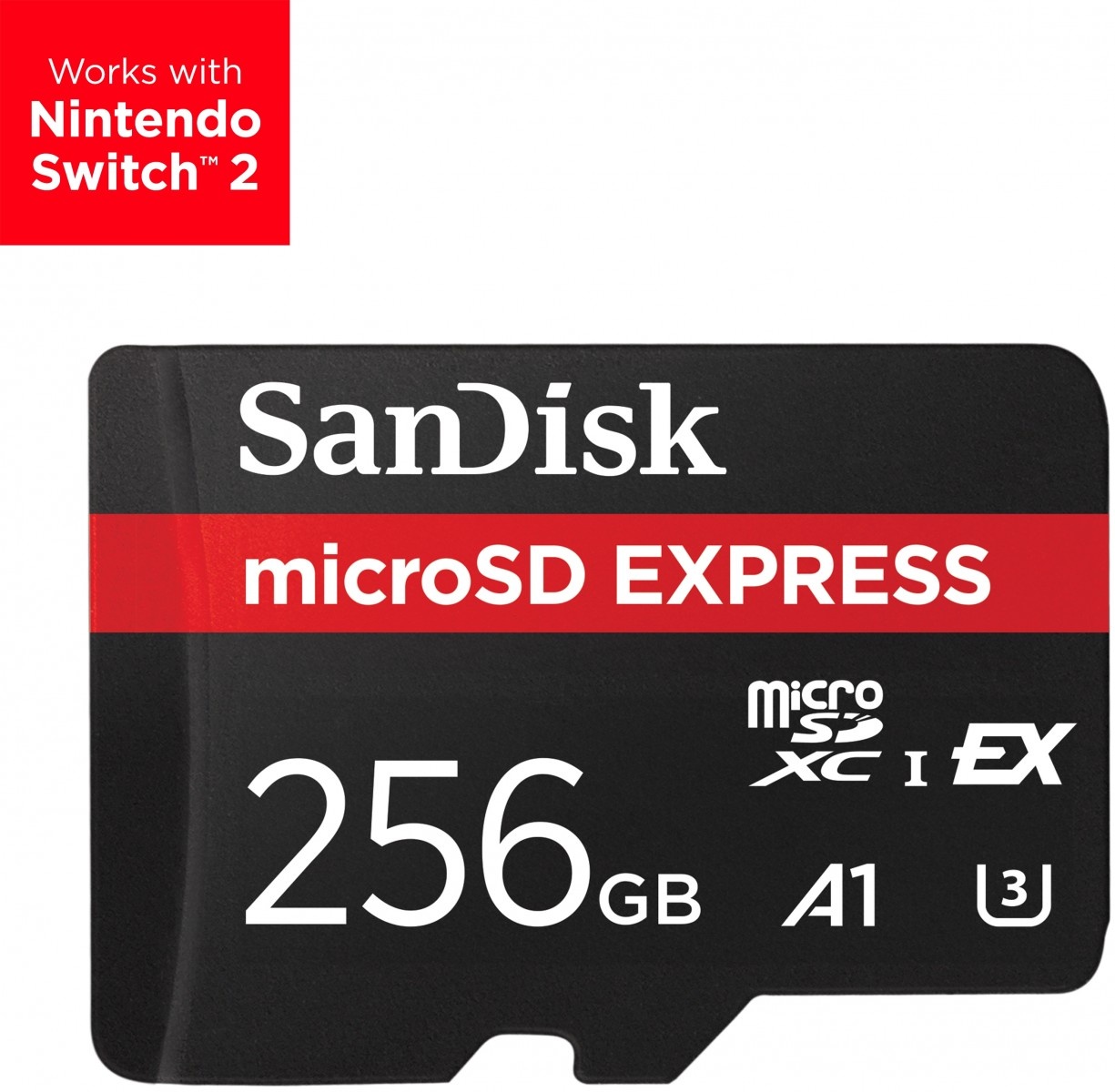 SANDISK SanDisk Express 256 GB MicroSDXC UHS-I - SUPPORTI PER LA MEMORIZZAZIONE | TecnoCARE.net Sabaudia, Latina, Terracina, San Felice Circeo e Pontinia
