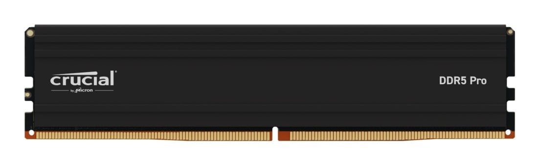 CRUCIAL Crucial Pro CP32G56C46U5 memoria 32 GB 1 x 32 GB DDR5 288-pin DIMM - COMPONENTI | TecnoCARE.net Sabaudia, Latina, Terracina, San Felice Circeo e Pontinia