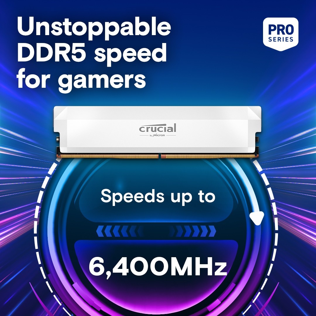 CRUCIAL Crucial CP2K32G60C40U5W Pro DDR5-6000 64GB Kit (32GBx2) UDIMM OC Gaming Memory - COMPONENTI | TecnoCARE.net Sabaudia, Latina, Terracina, San Felice Circeo e Pontinia