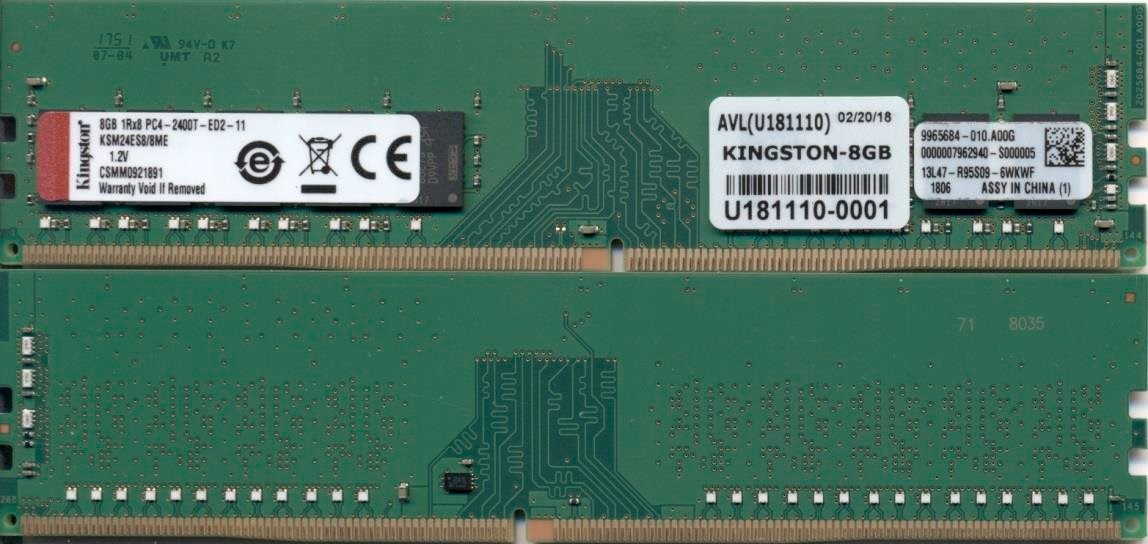 KINGSTON Kingston Technology KSM24ES8/8ME memoria 8 GB 1 x 8 GB DDR4 2400 MHz Data Integrity Check (verifica integrità dati) - COMPONENTI | TecnoCARE.net Sabaudia, Latina, Terracina, San Felice Circeo e Pontinia
