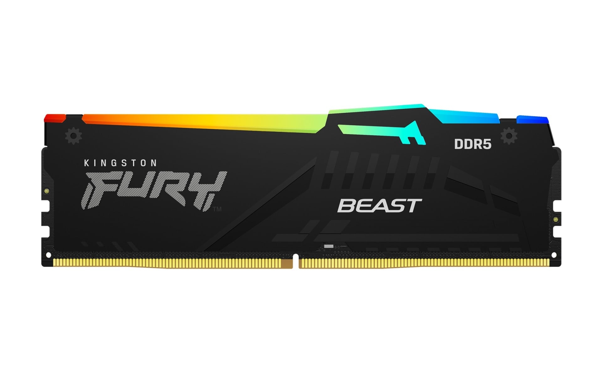 KINGSTON Kingston KF552C40BBA-32 FURY Beast 32GB 5200MTs DDR5 CL40 DIMM RGB Memoria - COMPONENTI | TecnoCARE.net Sabaudia, Latina, Terracina, San Felice Circeo e Pontinia