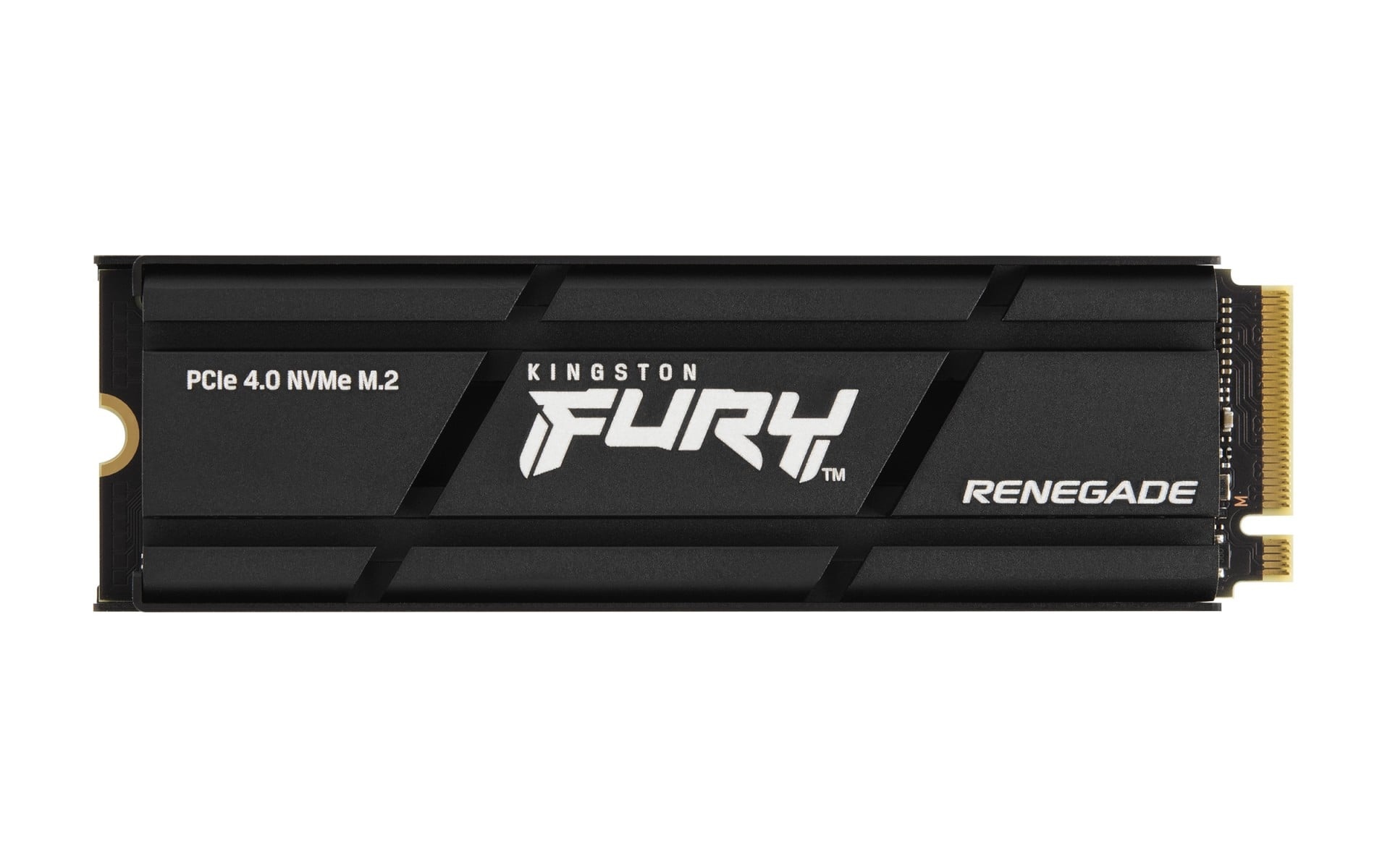 KINGSTON Kingston Technology FURY Renegade 1 TB M.2 PCI Express 4.0 3D TLC - SUPPORTI PER LA MEMORIZZAZIONE | TecnoCARE.net Sabaudia, Latina, Terracina, San Felice Circeo e Pontinia