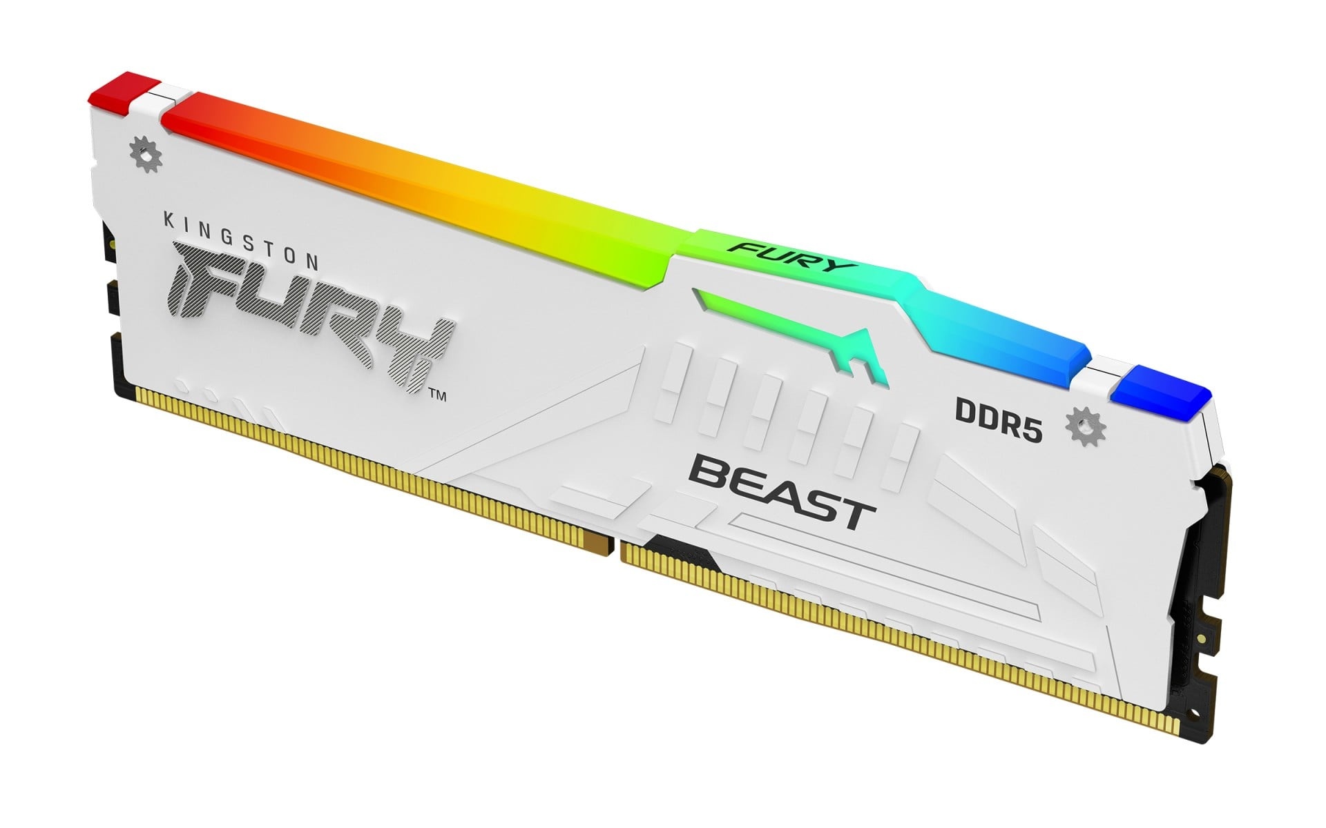 KINGSTON Kingston Technology FURY Beast 64GB 6000MT/s DDR5 CL36 DIMM (Kit di 2) Bianco RGB EXPO - COMPONENTI | TecnoCARE.net Sabaudia, Latina, Terracina, San Felice Circeo e Pontinia