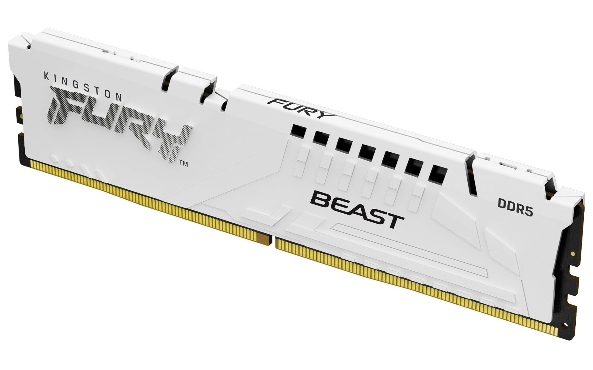 KINGSTON Kingston Technology FURY Beast 32GB 5600MT/s DDR5 CL40 DIMM Bianco XMP - COMPONENTI | TecnoCARE.net Sabaudia, Latina, Terracina, San Felice Circeo e Pontinia