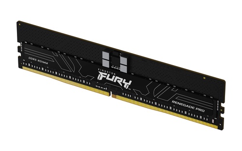 KINGSTON KINGSTON RAM FURY RENEGARE PRO 16GB DDR5 DIMM 5600MT EXX CL36 - MEMORIE RAM | TecnoCARE.net Sabaudia, Latina, Terracina, San Felice Circeo e Pontinia