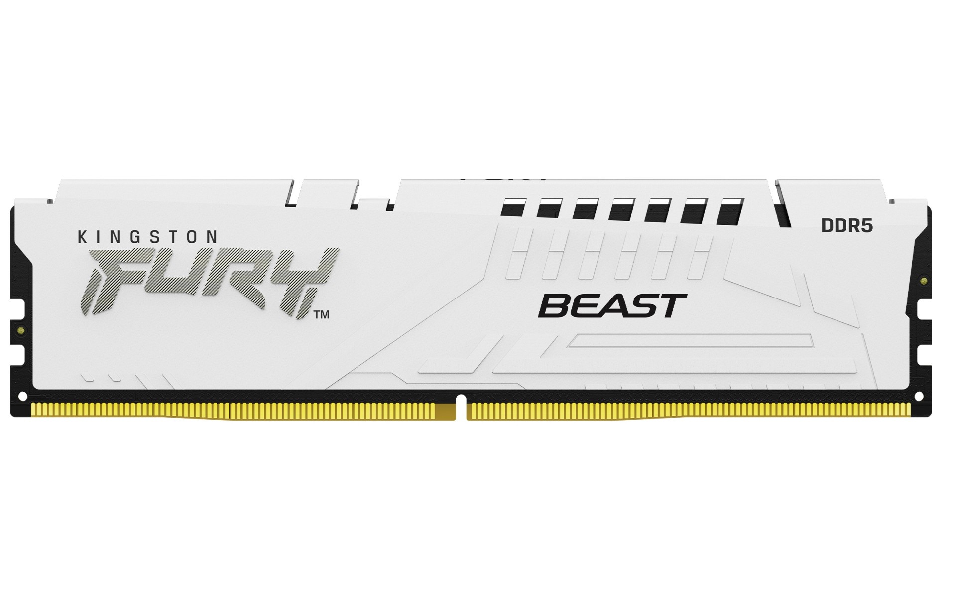 KINGSTON Kingston Technology FURY Beast 32GB 6400MT/s DDR5 CL32 DIMM Bianco EXPO - COMPONENTI | TecnoCARE.net Sabaudia, Latina, Terracina, San Felice Circeo e Pontinia