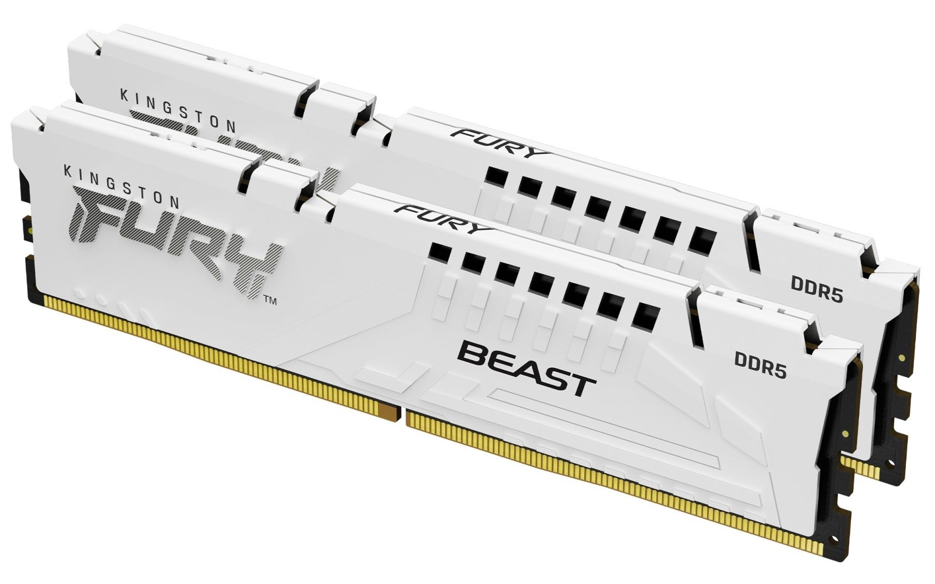 KINGSTON Kingston Technology FURY Beast 32GB 6400MT/s DDR5 CL32 DIMM (Kit di 2) Bianco EXPO - COMPONENTI | TecnoCARE.net Sabaudia, Latina, Terracina, San Felice Circeo e Pontinia