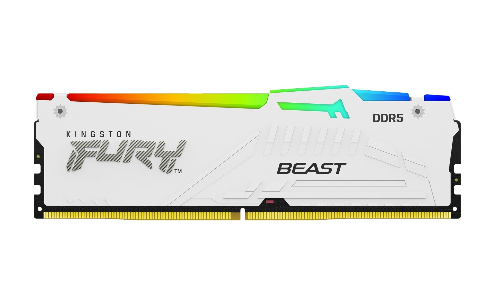 KINGSTON Kingston Technology FURY Beast 32GB 6000MT/s DDR5 CL30 DIMM Bianco RGB EXPO - COMPONENTI | TecnoCARE.net Sabaudia, Latina, Terracina, San Felice Circeo e Pontinia