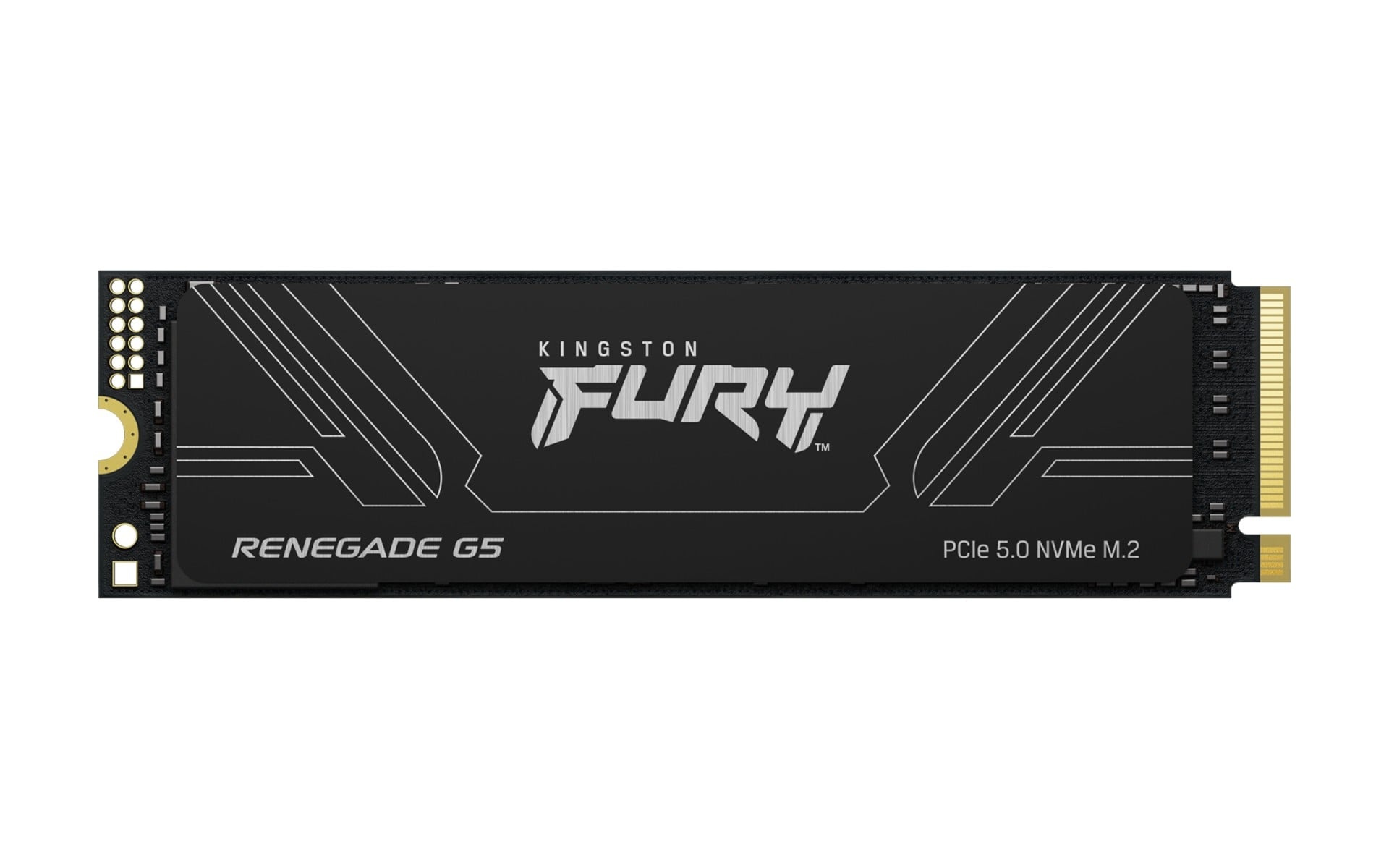 KINGSTON Kingston Technology 1T FURY RENEGADE G5 M.2 2280 NVMe SSD - SUPPORTI PER LA MEMORIZZAZIONE | TecnoCARE.net Sabaudia, Latina, Terracina, San Felice Circeo e Pontinia