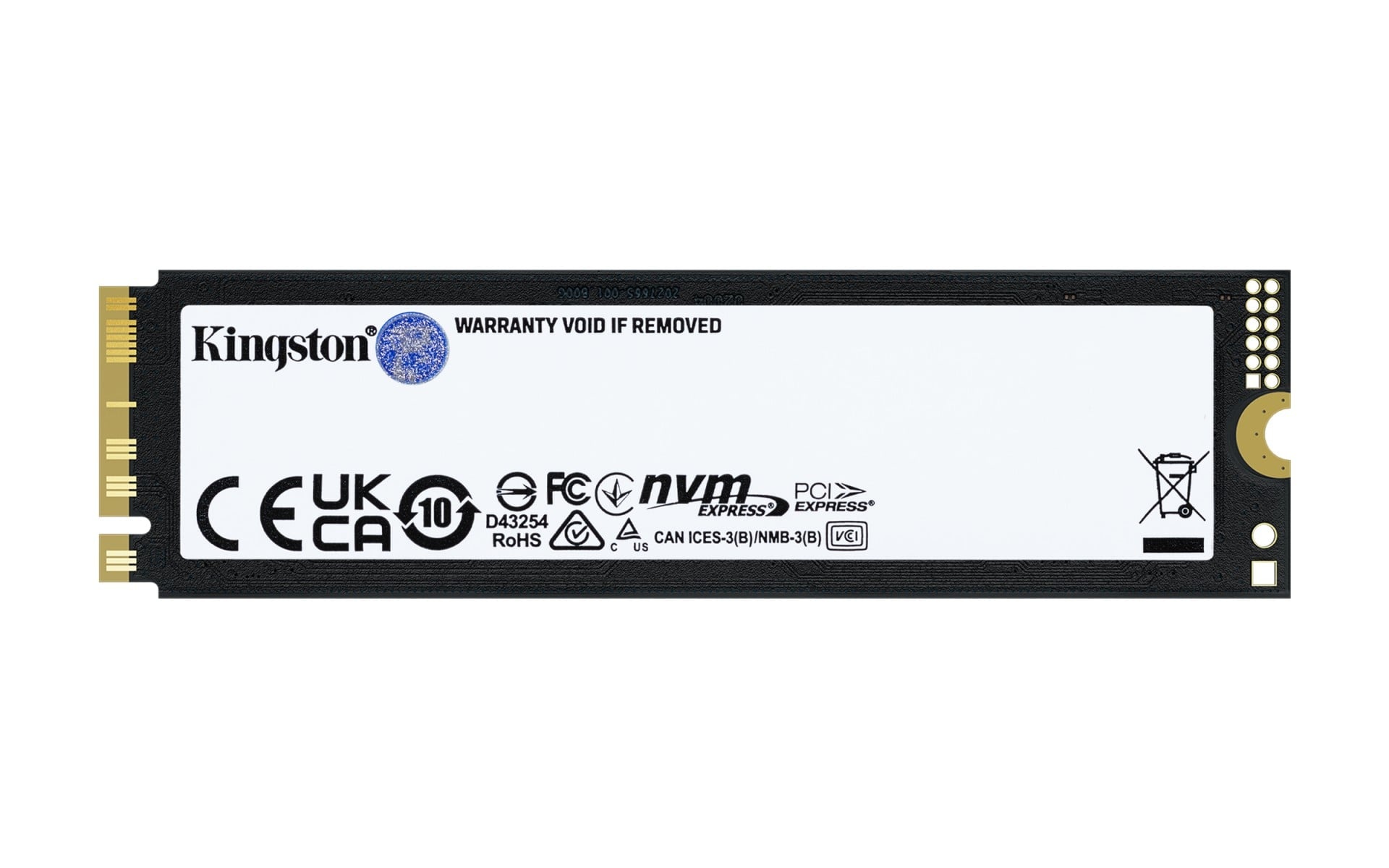 KINGSTON Kingston Technology 2T FURY RENEGADE G5 M.2 2280 NVMe SSD - SUPPORTI PER LA MEMORIZZAZIONE | TecnoCARE.net Sabaudia, Latina, Terracina, San Felice Circeo e Pontinia