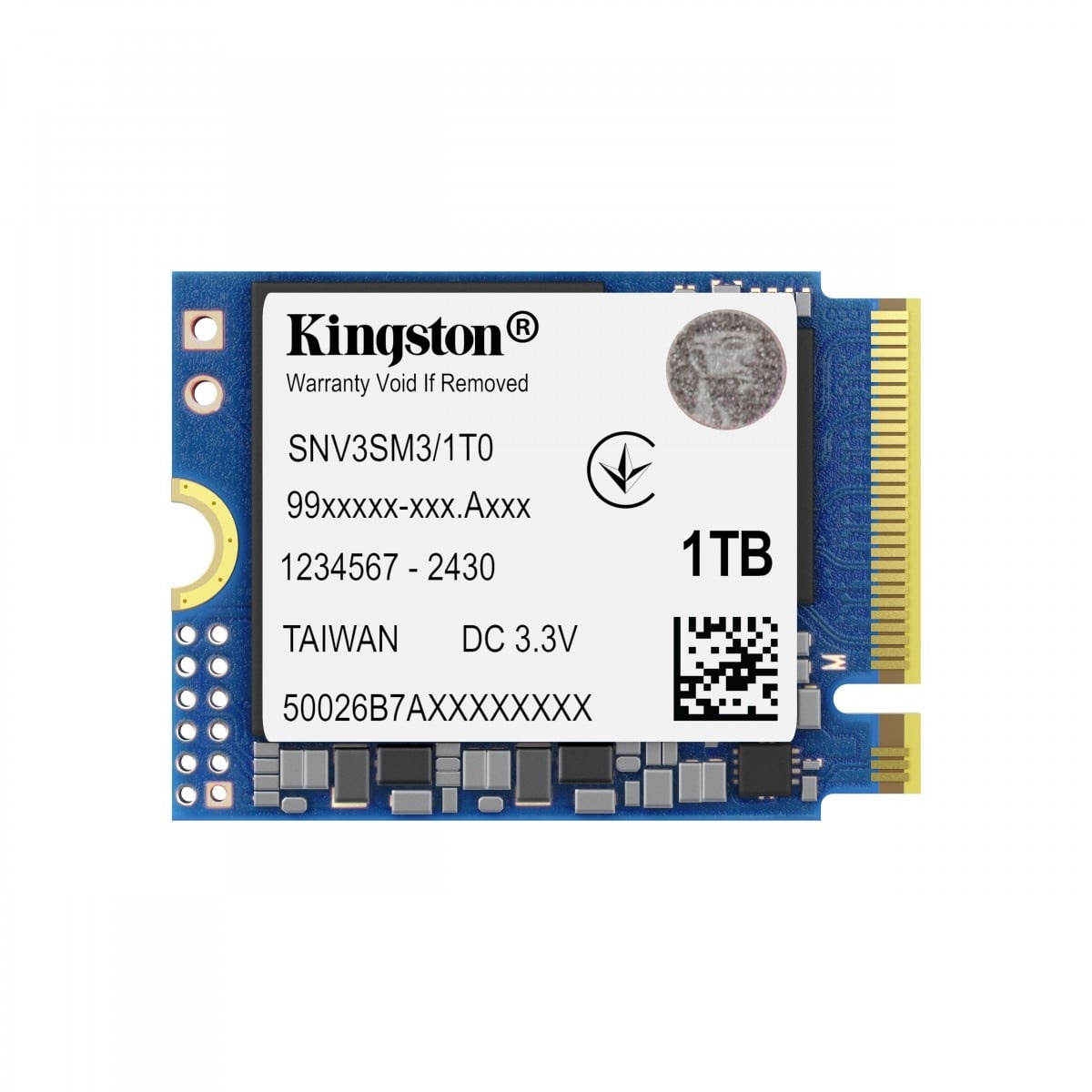 KINGSTON Kingston Technology NV3 1 TB PCI Express 4.0 3D NAND - SUPPORTI PER LA MEMORIZZAZIONE | TecnoCARE.net Sabaudia, Latina, Terracina, San Felice Circeo e Pontinia