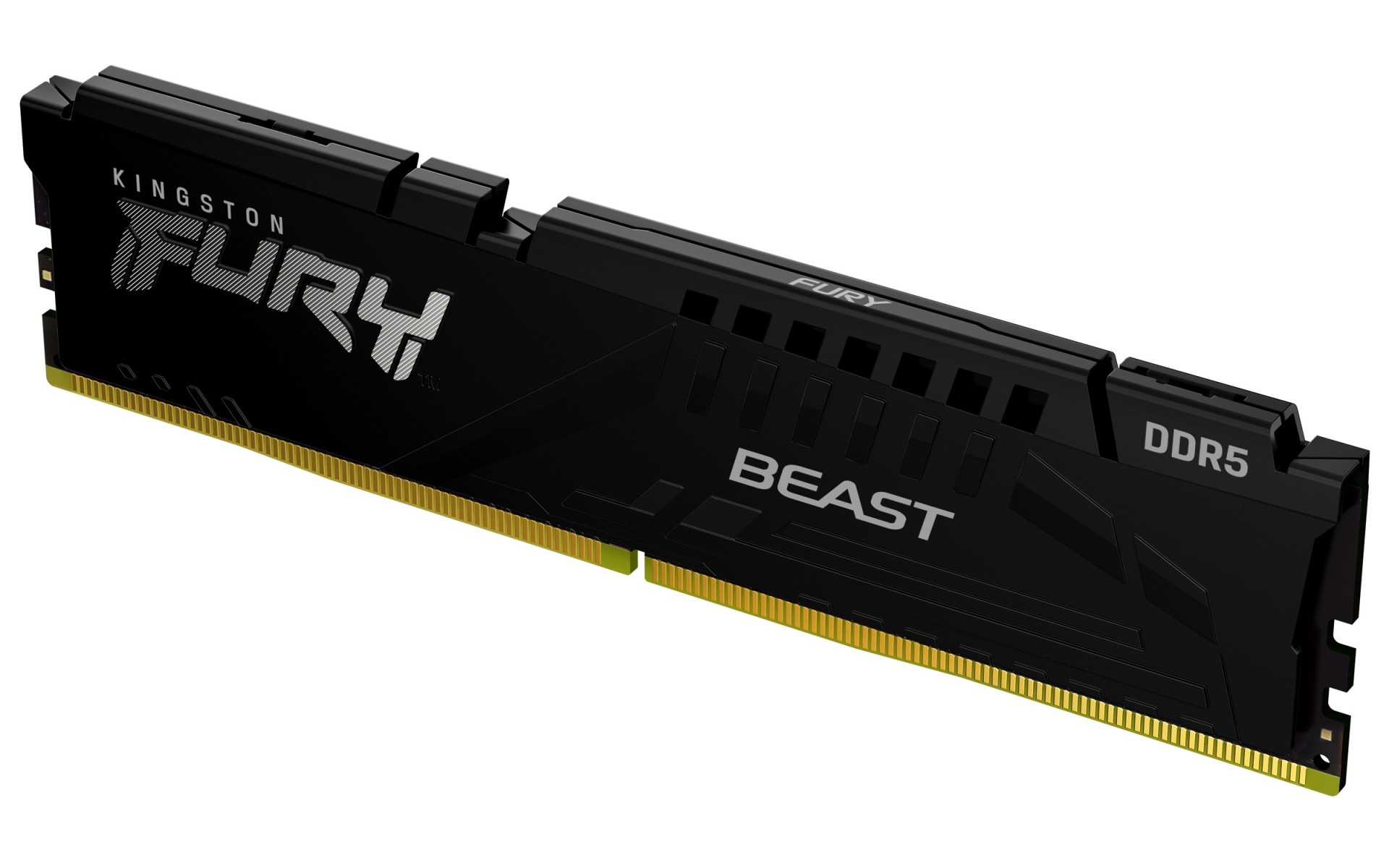 KINGSTON Kingston KF556C40BB2-32 FURY Beast 32GB DDR5 5600MTs DIMM Memoria Nera - COMPONENTI | TecnoCARE.net Sabaudia, Latina, Terracina, San Felice Circeo e Pontinia