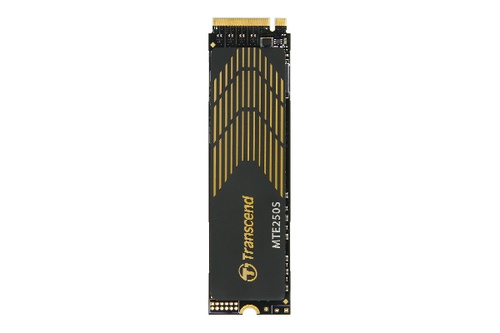 TRANSCEND TRANSCEND SSD INTERNO 2TB M.2 2280 PCIE GEN4X4 NVME 3D TLC WITH DRAM(GRAPHENE HEATSINK) - SSD INTERNI | TecnoCARE.net Sabaudia, Latina, Terracina, San Felice Circeo e Pontinia