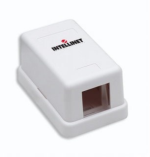 INTELLINET Intellinet 162739 Involucro del socket NAT KeystoneX1 - DISPOSITIVI E ACCESSORI DI CABLAGGIO | TecnoCARE.net Sabaudia, Latina, Terracina, San Felice Circeo e Pontinia
