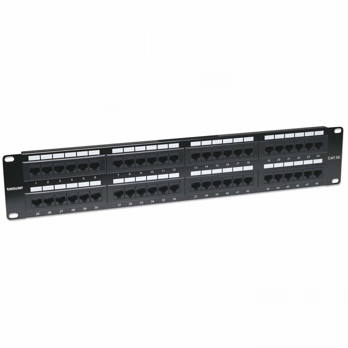 INTELLINET Intellinet 513579 pezzo di pannello 2U - RETI | TecnoCARE.net Sabaudia, Latina, Terracina, San Felice Circeo e Pontinia