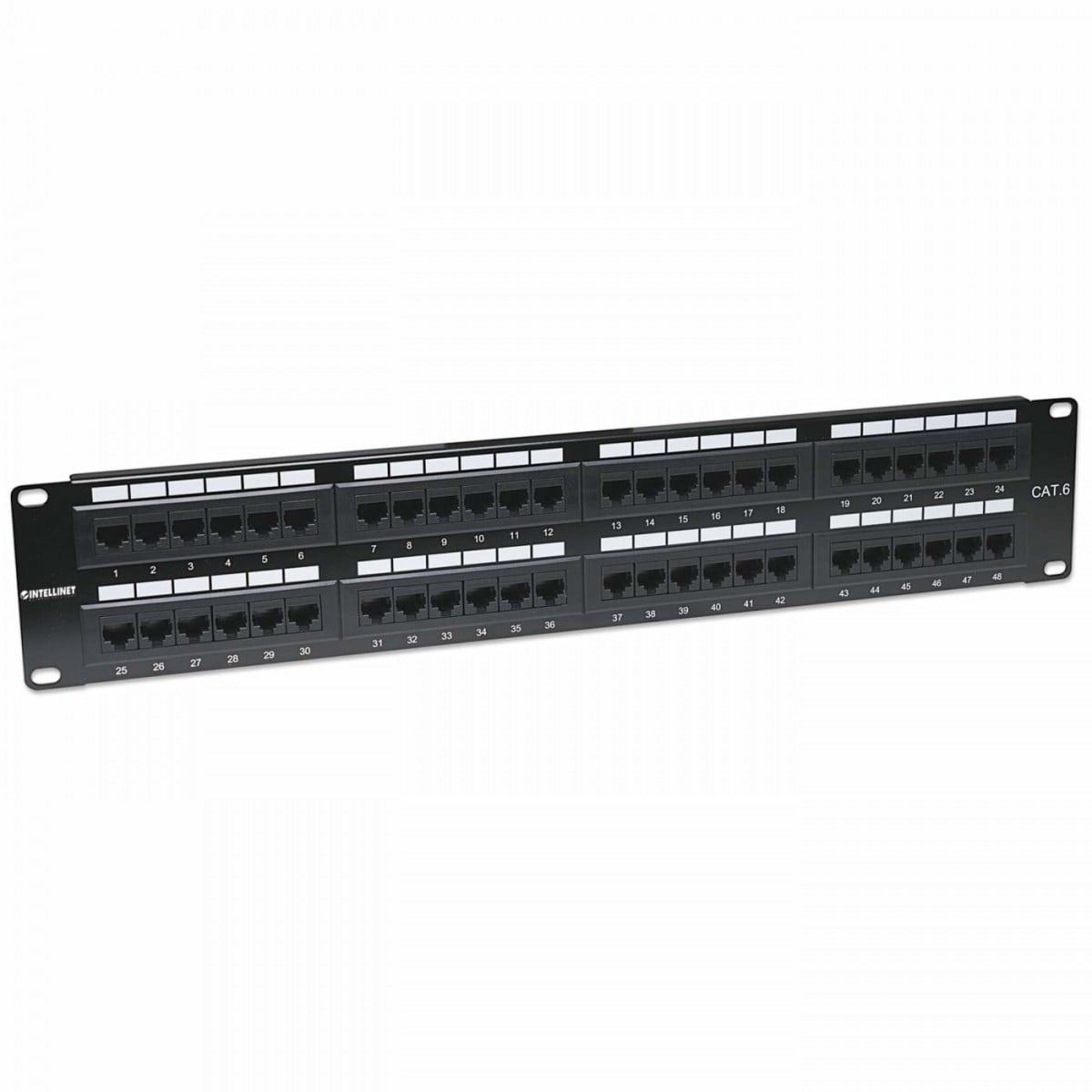 INTELLINET Intellinet 560283 pezzo di pannello 2U - RETI | TecnoCARE.net Sabaudia, Latina, Terracina, San Felice Circeo e Pontinia