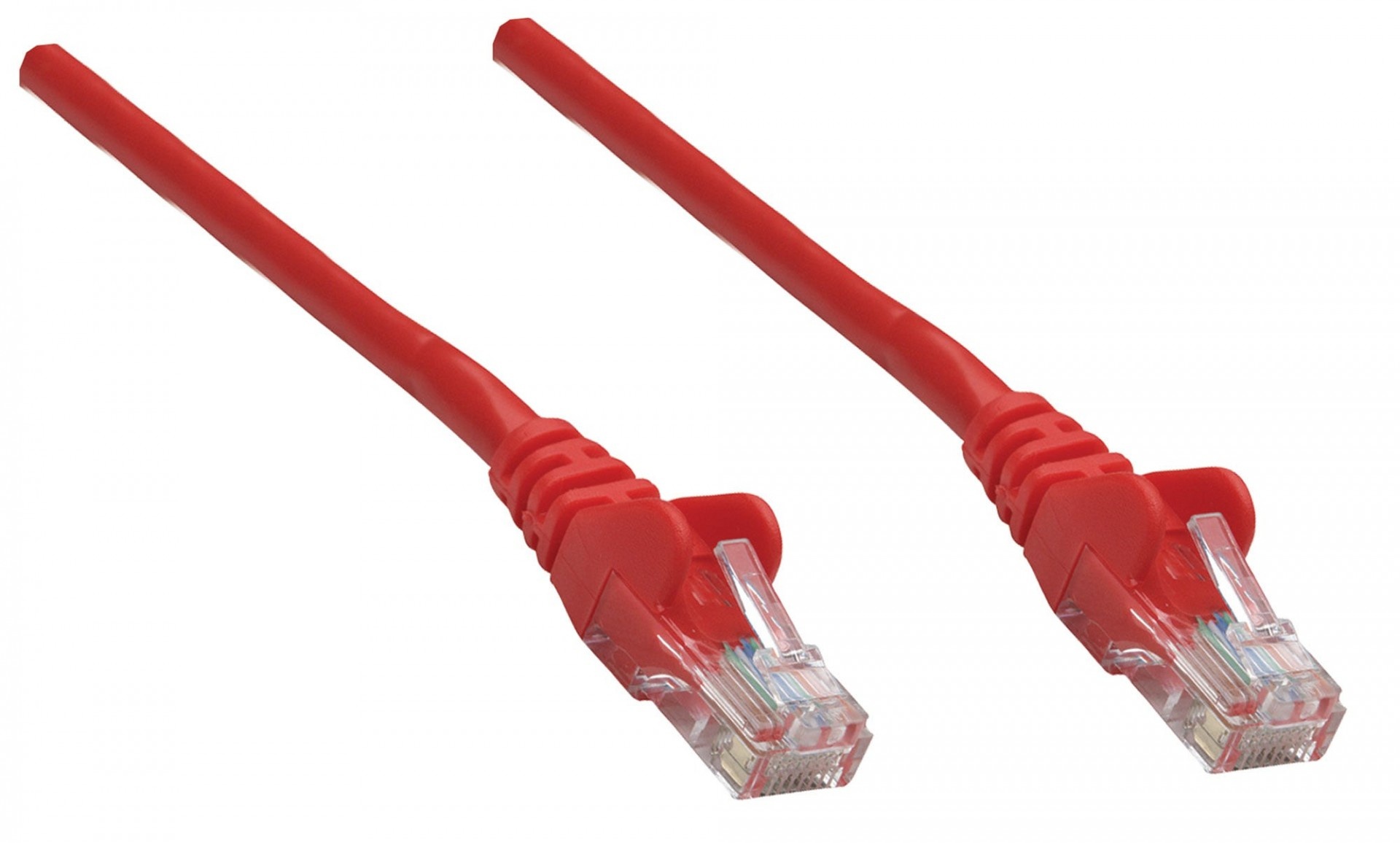 INTELLINET Intellinet 738859 Patchcord UTP 0,25m C6 rosso - CAVI PER COMPUTER E PERIFERICHE | TecnoCARE.net Sabaudia, Latina, Terracina, San Felice Circeo e Pontinia