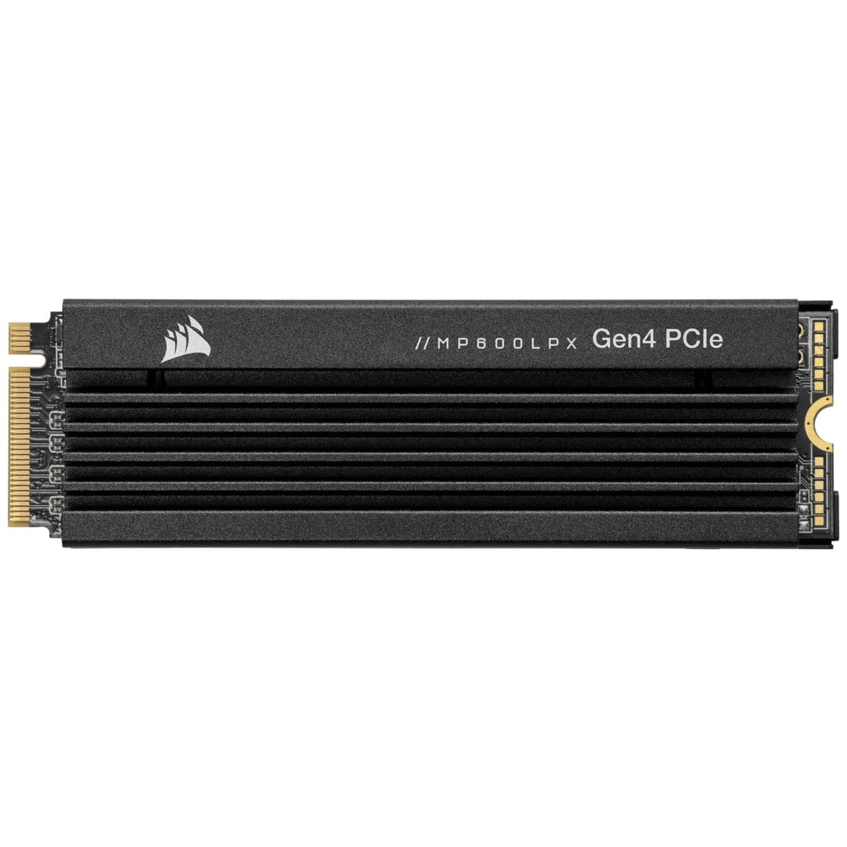 CORSAIR Corsair MP600 PRO LPX 2 TB M.2 PCI Express 4.0 NVMe 3D TLC NAND - SUPPORTI PER LA MEMORIZZAZIONE | TecnoCARE.net Sabaudia, Latina, Terracina, San Felice Circeo e Pontinia