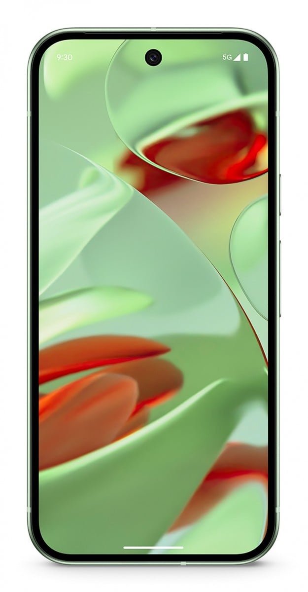 GOOGLE Google Pixel 9 5G Dual Sim 12 GB di RAM 128 GB Wintergreen - DISPOSITIVI DI COMUNICAZIONE MOBILE | TecnoCARE.net Sabaudia, Latina, Terracina, San Felice Circeo e Pontinia