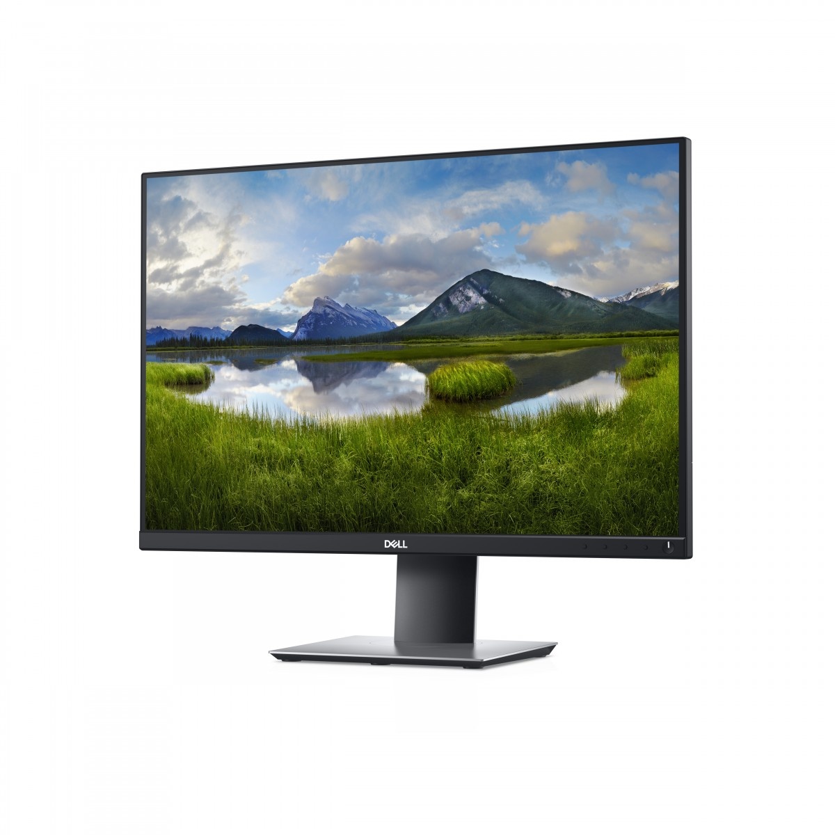 DELL Dell P2421 - 61,2 cm (24.1") - 1920 x 1200 Pixel - WUXGA - LCD - 8 ms - Nero - MONITOR E ACCESSORI | TecnoCARE.net Sabaudia, Latina, Terracina, San Felice Circeo e Pontinia