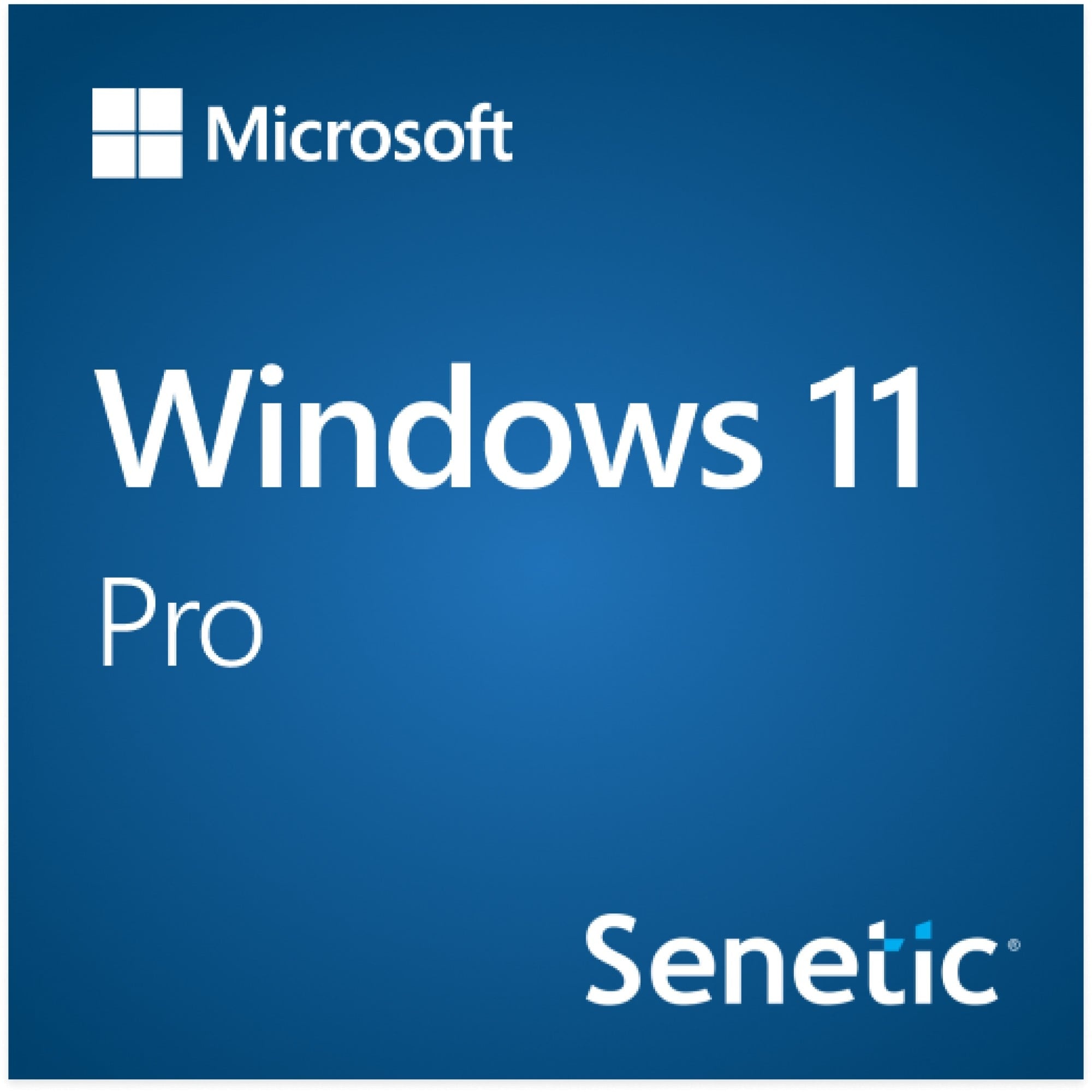 MICROSOFT Windows 11 Pro 64Bit Eng Intl 1pk DSP OEI DVD - SOFTWARE | TecnoCARE.net Sabaudia, Latina, Terracina, San Felice Circeo e Pontinia