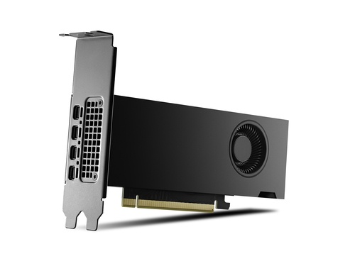 PNY PNY RTX2000 Ada NVIDIA RTX 2000 Ada 16 GB GDDR6 - COMPONENTI | TecnoCARE.net Sabaudia, Latina, Terracina, San Felice Circeo e Pontinia