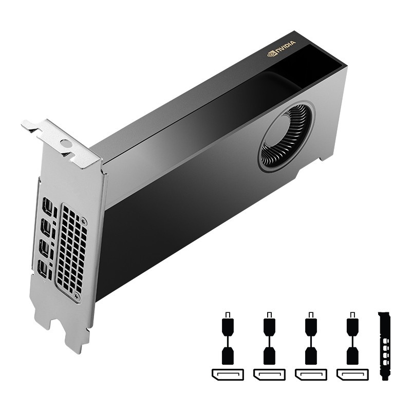 PNY PNY NVIDIA RTX 2000 Generazione Ada Low Profile VCNRTX2000ADA-PB - COMPONENTI | TecnoCARE.net Sabaudia, Latina, Terracina, San Felice Circeo e Pontinia