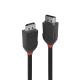 LINDY LINDY Cavo DisplayPort 1.2 Black Line, 1m - CAVI HDMI/VGA/DVI/DP | TecnoCARE.net Sabaudia, Latina, Terracina, San Felice Circeo e Pontinia