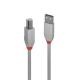 LINDY LINDY CAVO USB 2.0 TIPO A E B ANTHRA LINE 1MT - CAVI USB | TecnoCARE.net Sabaudia, Latina, Terracina, San Felice Circeo e Pontinia