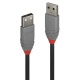 LINDY LINDY CAVO USB 2.0 TIPO A/A ANTHRA LINE, 0.5M - CAVI USB | TecnoCARE.net Sabaudia, Latina, Terracina, San Felice Circeo e Pontinia