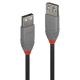 LINDY LINDY Prolunga USB 2.0 Tipo A Anthra Line, 0.5m - CAVI USB | TecnoCARE.net Sabaudia, Latina, Terracina, San Felice Circeo e Pontinia