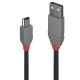 LINDY LINDY CAVO 1M USB 2.0 KABEL A/MINI-B, ANTHRA - CAVI USB | TecnoCARE.net Sabaudia, Latina, Terracina, San Felice Circeo e Pontinia