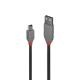 LINDY LINDY 3M USB 2.0 KABEL A/MINI-B, ANTHRA - CAVI USB | TecnoCARE.net Sabaudia, Latina, Terracina, San Felice Circeo e Pontinia