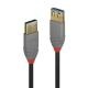 LINDY LINDY PROLUNGA USB 3.2 TIPO A, 5 GBIT/S, ANTHRA LINE, 1M - CAVI USB | TecnoCARE.net Sabaudia, Latina, Terracina, San Felice Circeo e Pontinia