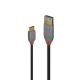 LINDY LINDY CAVO ADATTATORE USB 3.1 TIPO C/A ANTHRA LINE, 15CM - ADATTATORI | TecnoCARE.net Sabaudia, Latina, Terracina, San Felice Circeo e Pontinia