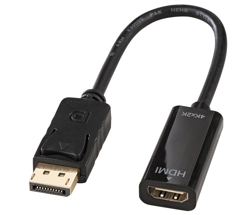 LINDY LINDY ADATTATORE DISPLAYPORT A HDMI 4K PASSIVO - ADATTATORI | TecnoCARE.net Sabaudia, Latina, Terracina, San Felice Circeo e Pontinia