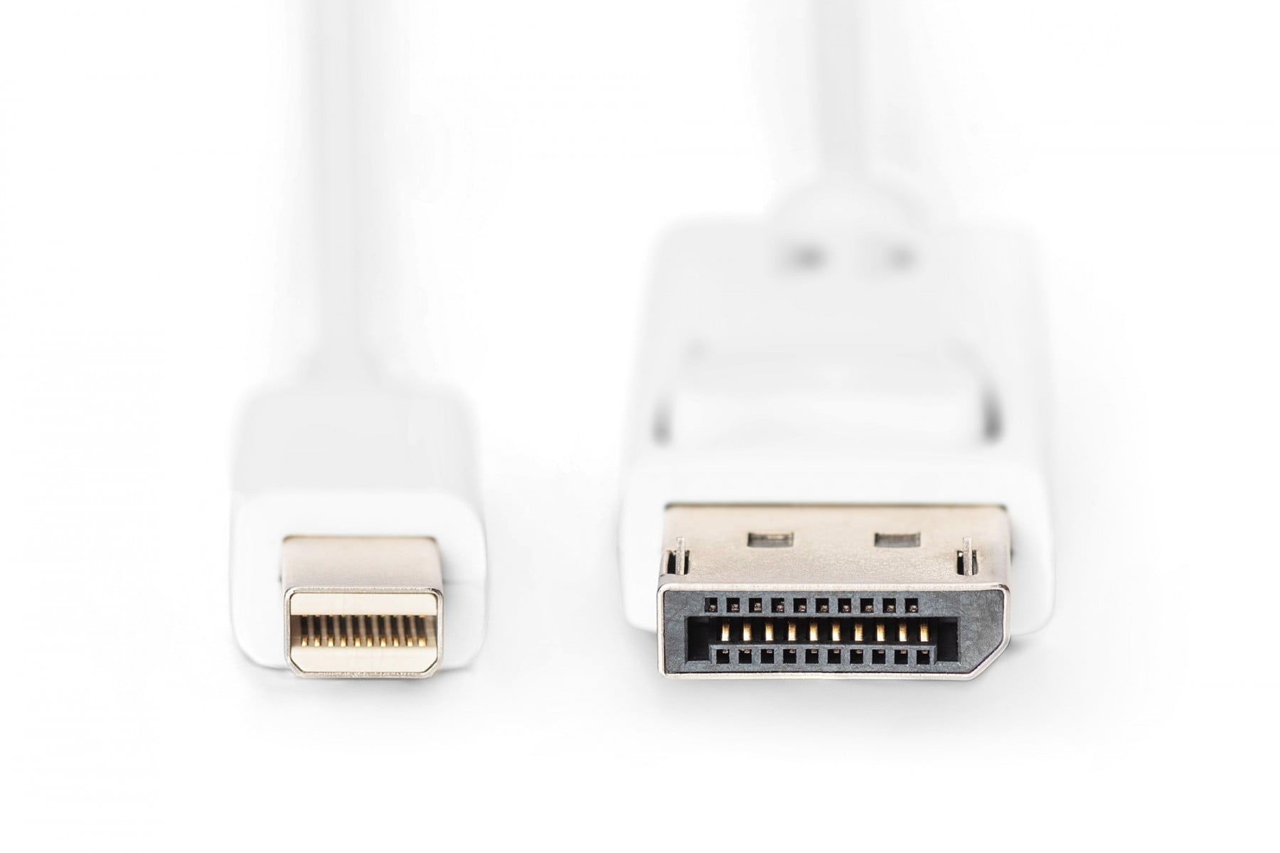 DIGITUS Digitus AK-340102-020-W Cavo di collegamento Mini DisplayPort a DisplayPort 2m - CAVI PER COMPUTER E PERIFERICHE | TecnoCARE.net Sabaudia, Latina, Terracina, San Felice Circeo e Pontinia
