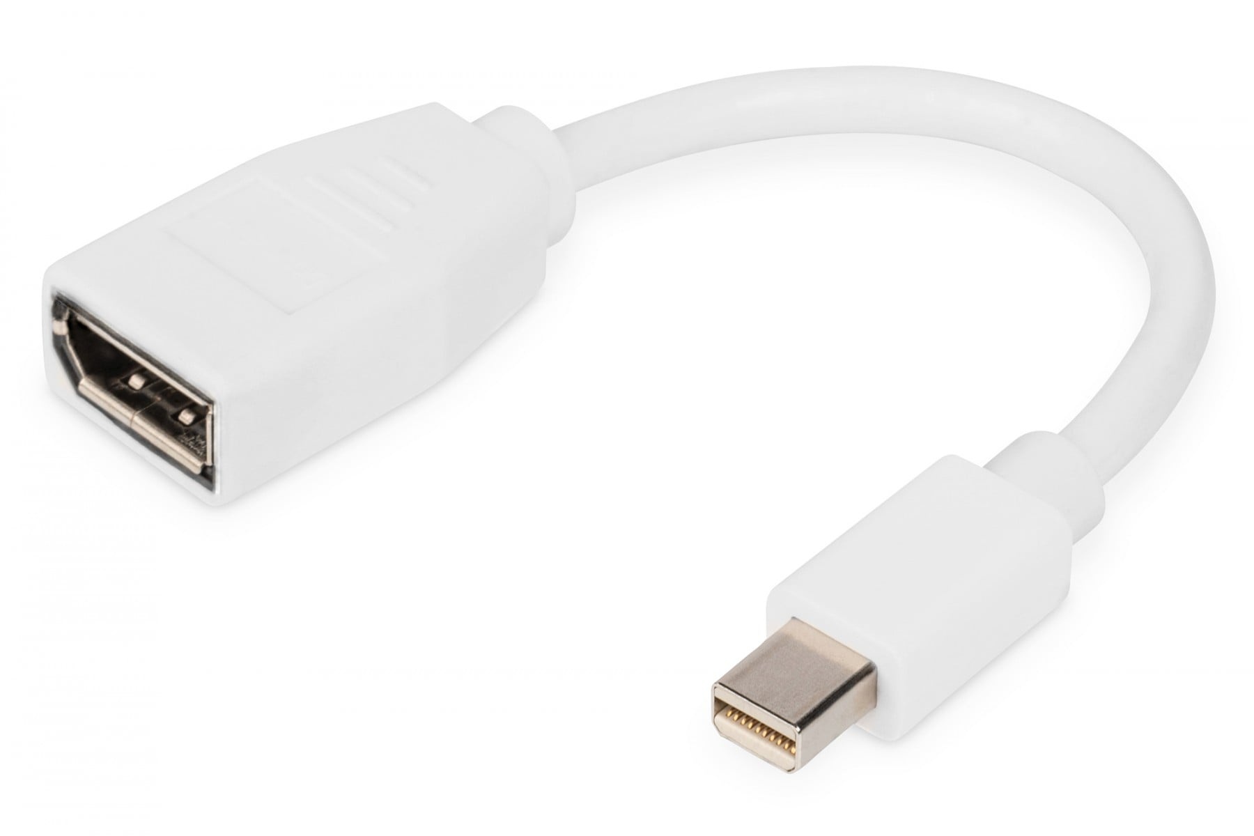 DIGITUS Digitus DB-340405-001-W cavo DisplayPort 0,15 m Mini DisplayPort Bianco - CAVI PER COMPUTER E PERIFERICHE | TecnoCARE.net Sabaudia, Latina, Terracina, San Felice Circeo e Pontinia