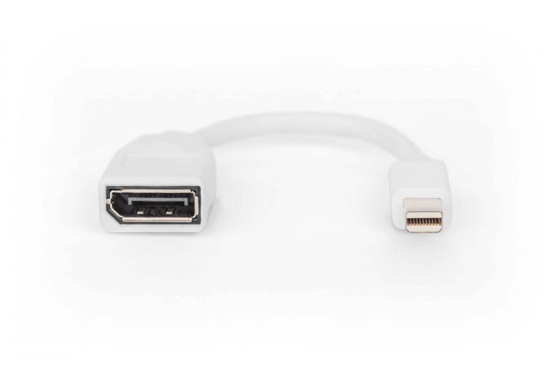 DIGITUS Digitus DB-340405-001-W cavo DisplayPort 0,15 m Mini DisplayPort Bianco - CAVI PER COMPUTER E PERIFERICHE | TecnoCARE.net Sabaudia, Latina, Terracina, San Felice Circeo e Pontinia